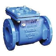 Kartar D.I. Non-Return Valve (Reflux, Swing Type)