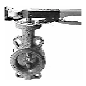 Sant C.I. Butterfly Valve with Limit Switch